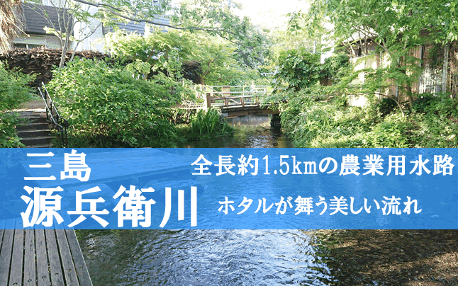 �O���@�����q��