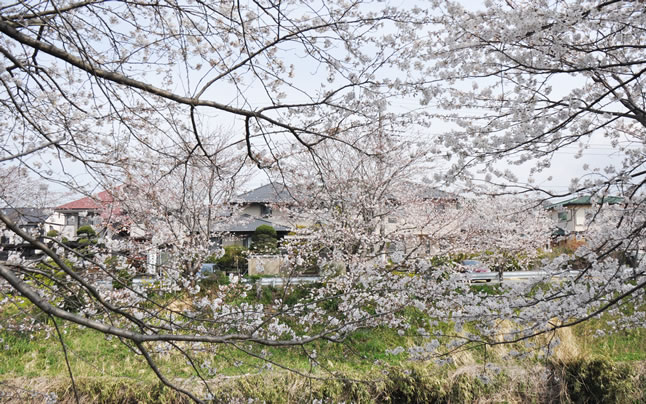 ���c3����&nbsp;��