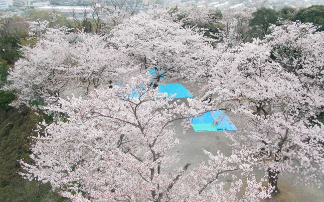 ���c�R�����R���@��