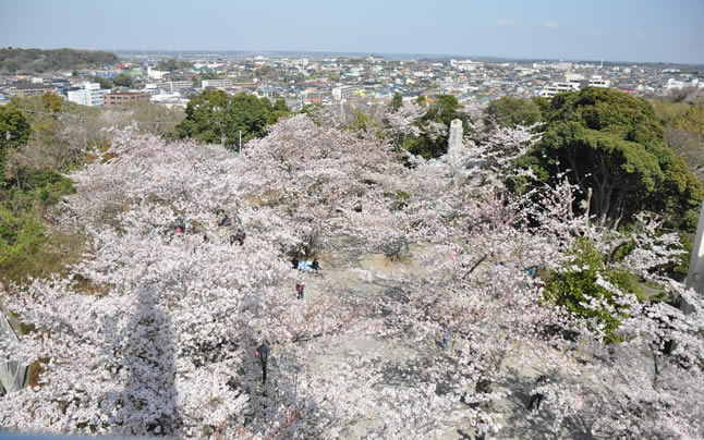 ���݂��炸�^���[