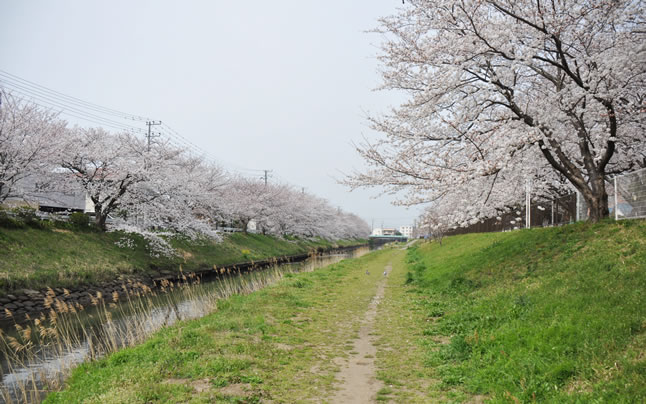 2013�N�@��ߐ������