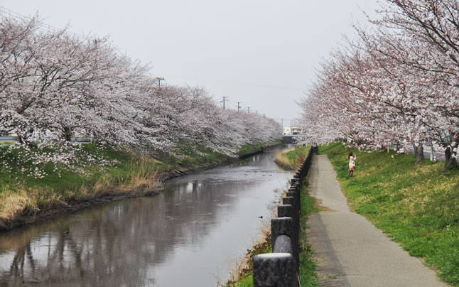 2013�N�@��ߐ������