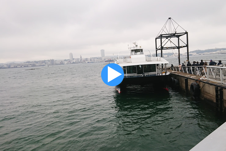 �����@����D