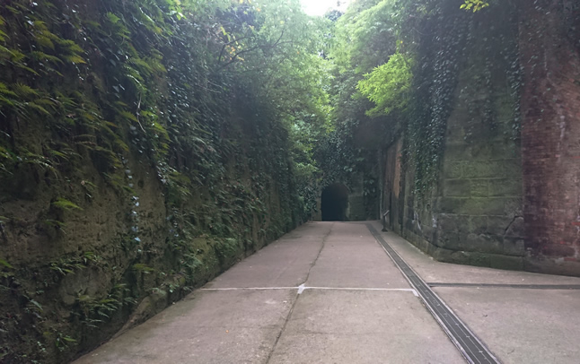 �W�u���f��ɂłĂ������ł�