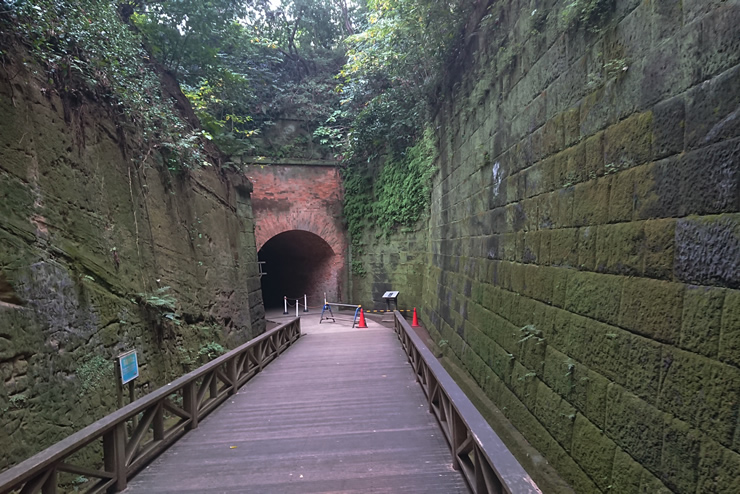 �t�����X�ς݂̃����K�g���l��