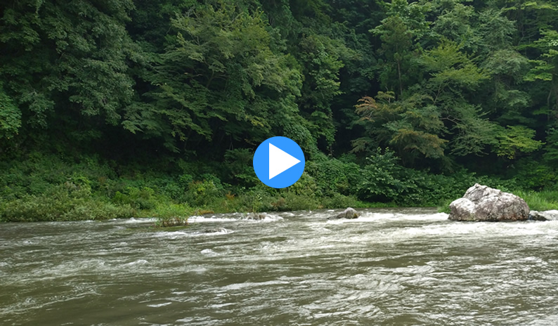 �C���X�^�f���X�|�b�g