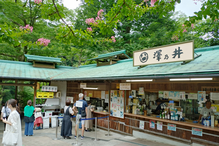 �����K�[�f���V�T�䉀