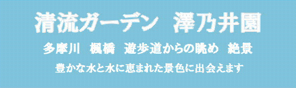 �����K�[�f���@�V�T�䉀