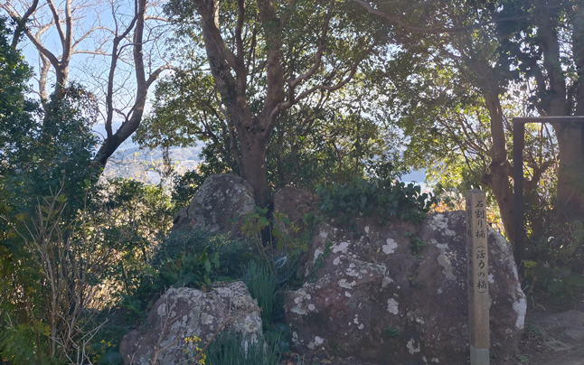 �Ί���i������肭���̂��j