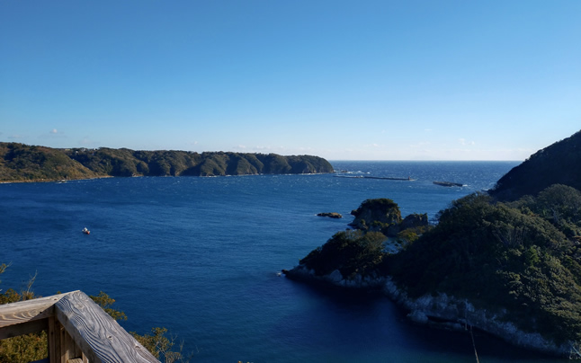 ��������W�]�䂩��̒���