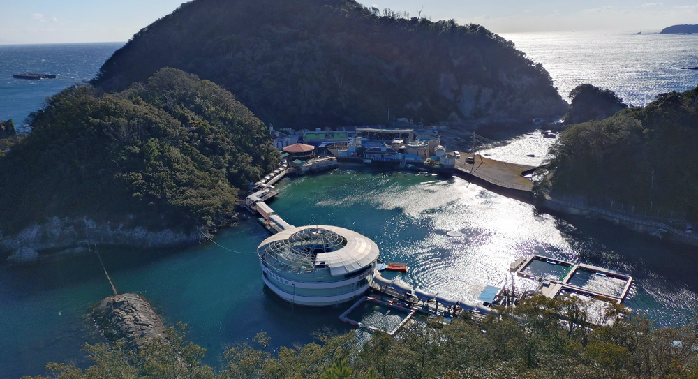 �������̑咹��