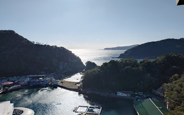 ��������W�]�䂩��̒���