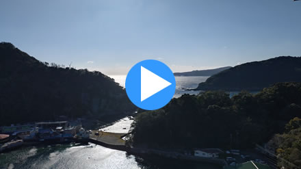 ���c��������