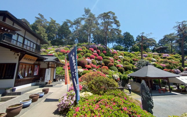 ���ʂȐF�̂�