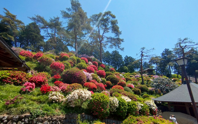 ������