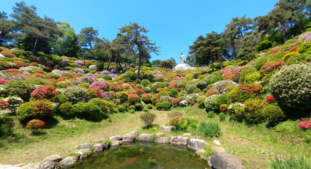 ���D���a�ω��Ƃ�