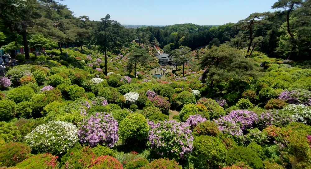 �����S�̂����n��