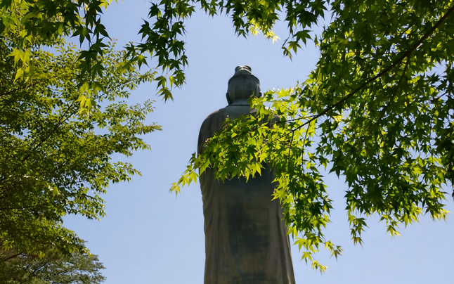 ���D�ω����̌��p