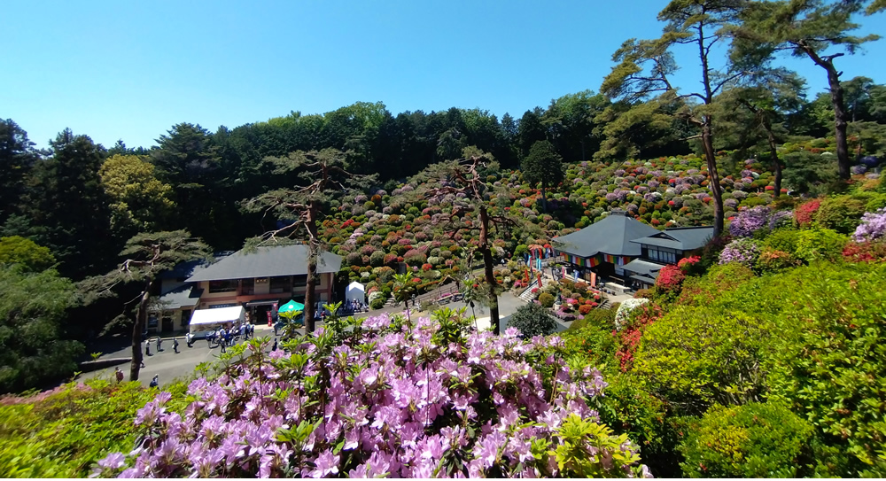 ��i�X�|�b�g