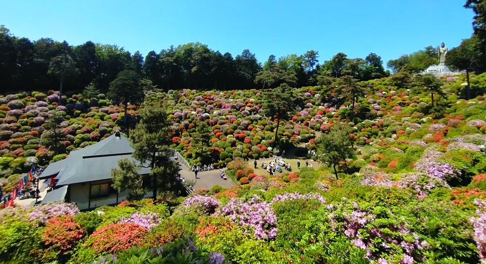 �C���X�^�f���X�|�b�g