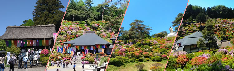 �����R����