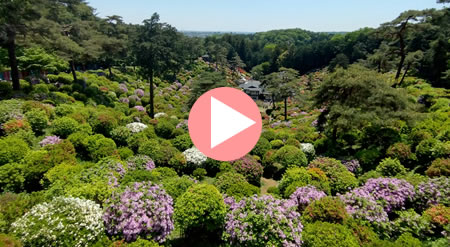 ���D�ω�����