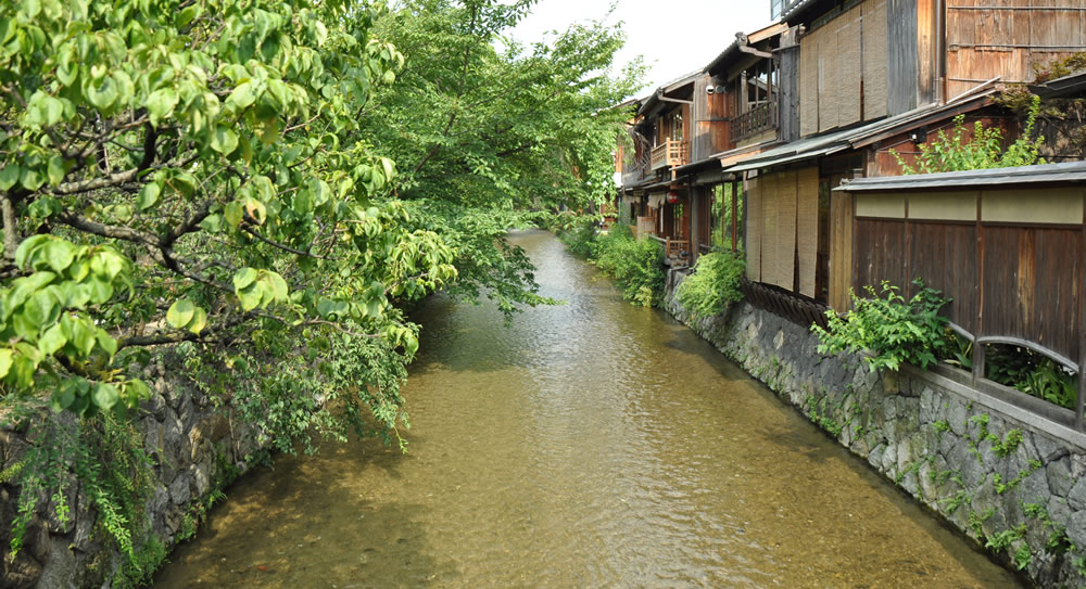 �_������