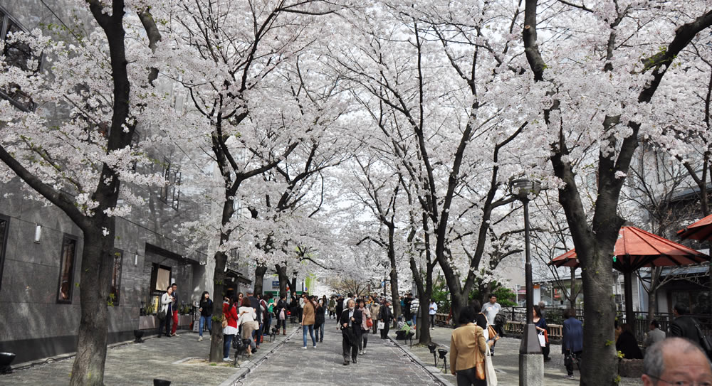 �����ʂ�@��