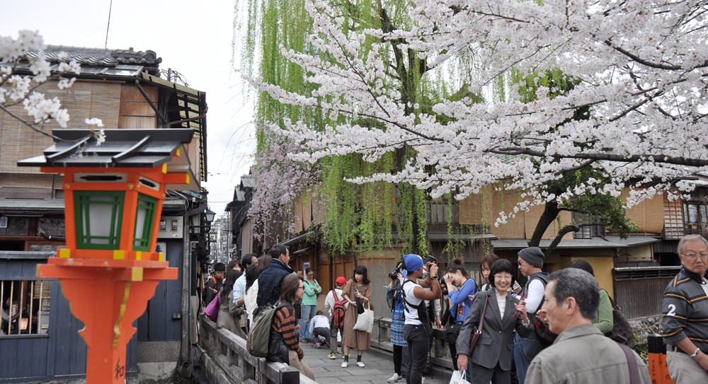 ��l�C�@�����ȁ@�F���i���݂΂��j