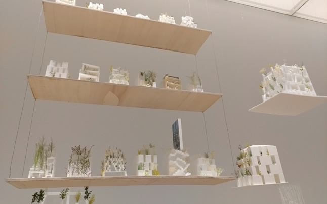 �V�䂩��݂艺�����Ă���͌^