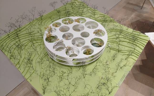 �J�^���[�j���̉�