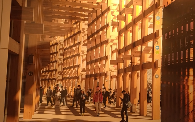 �傫�ȑ剮�������O�̃p�l���ʐ^