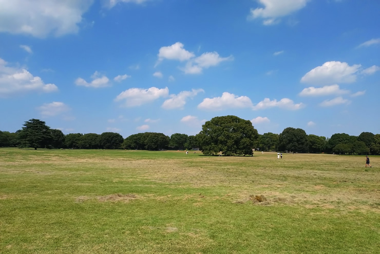 �����h�[��39��