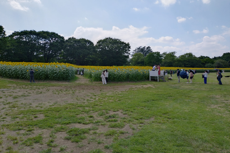 ���c���a�L�O���� �Ђ܂��