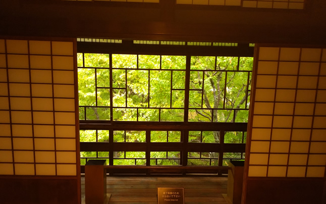 ���R��؂���z���̂悤�ȑ�