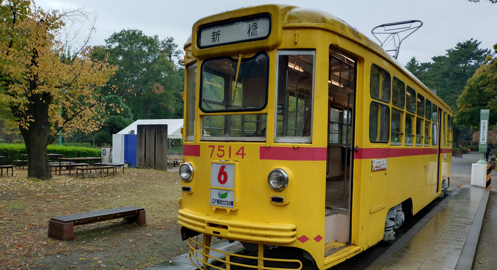 夜の地球 Earth at Night