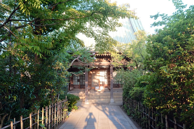 暐����@�{��