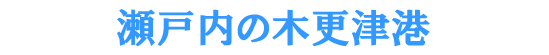 ���˓��̖؍X�Í`