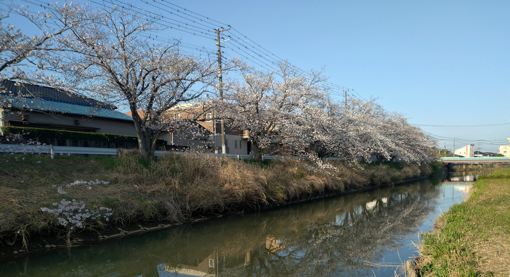 ��ߐ�����̍�