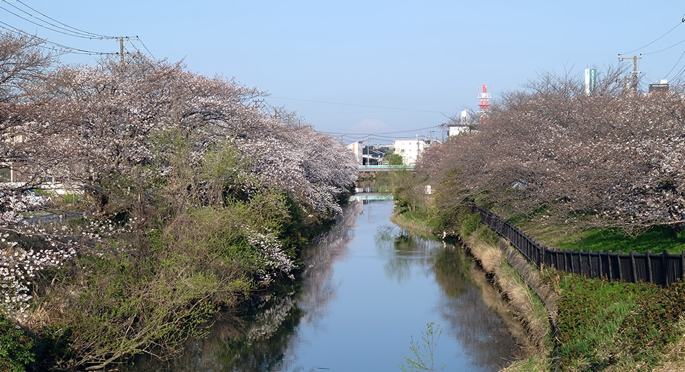 ���a�����猩���