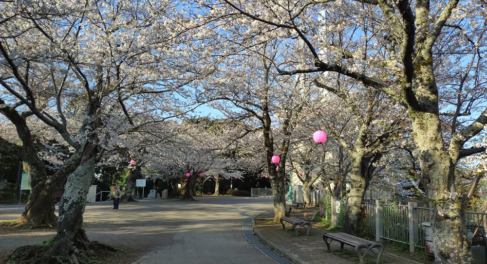 ���c�R������