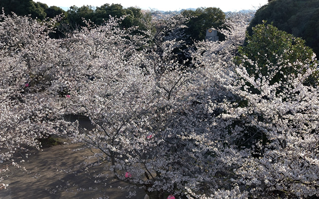 ���݂���Ã^���[����݂��