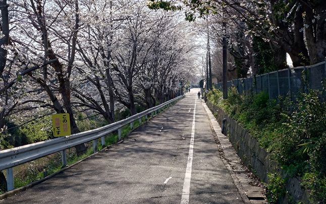 �������w�Z�O�̍�