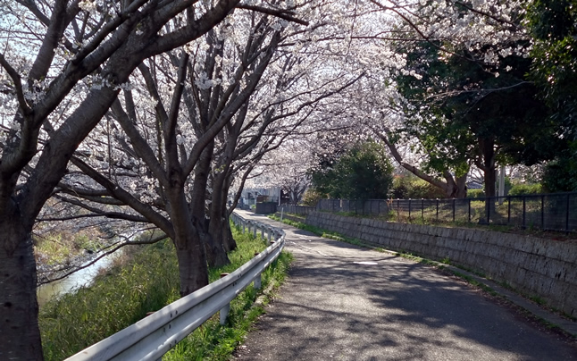 ��������߂��̍�