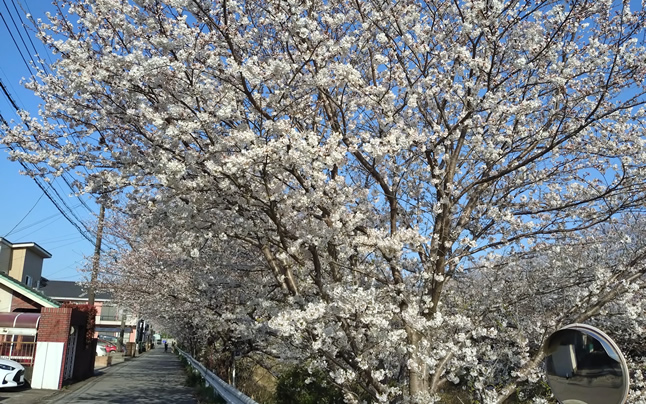 ���J�ɋ߂���