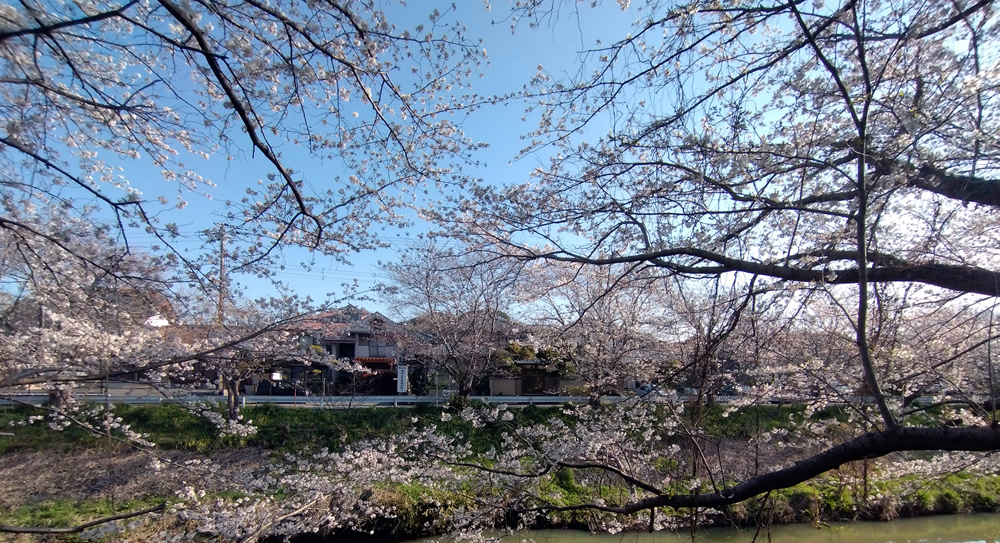 ��ԑ傫�ȍ����猩���ߐ�