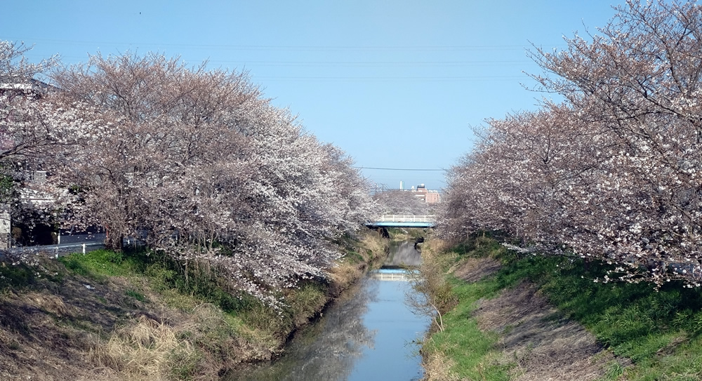 ���R�����璭�߂��