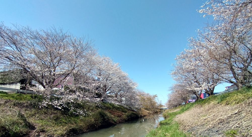 ���c�O���ړy�肩�猩���i