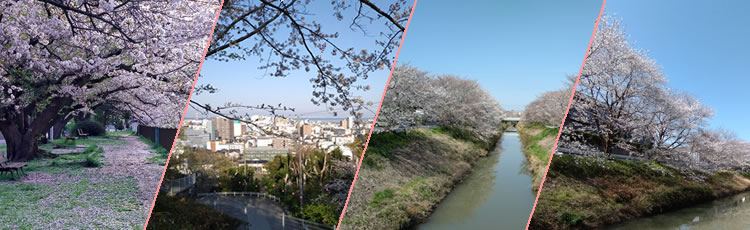 ��ߐ���@���c�R��