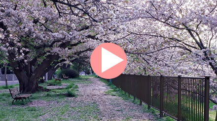 ��ߐ�����̍��g���l��